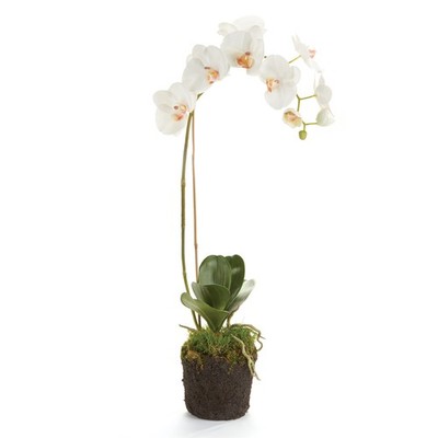 PHALAENOPSIS ORCHID DROP-IN 26''