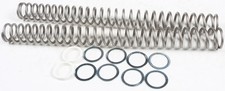 Race Tech Fork Springs FRSP 434650