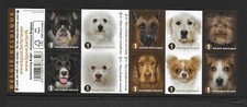 2014 Belgium Dogs self adhesive booklet SG4551-4560 complete