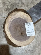 Black Walnut Slab #1869, live edge slab, unfinished, free shipping