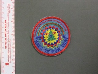 Boy Scout OA Area 7 E Conclave Tichora Lodge 6492PP