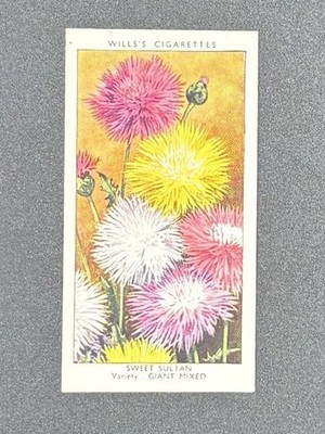 1939 Wills Garden Flowers #46 Sweet Sultan Giant Mixed Tobacco Card