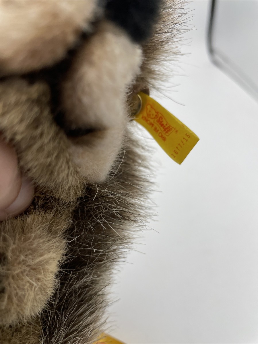 Steiff Lore オウム ぬいぐるみ 楽天市場】シュタイフ テディベア ロリ オウム ean 063985 26cm