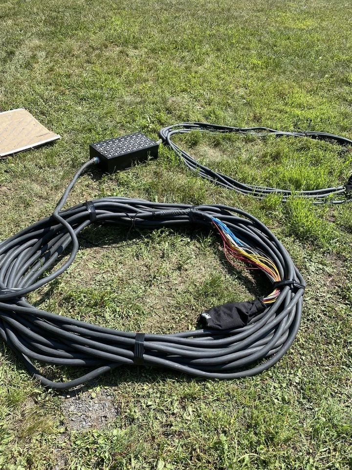 Troncos Wirlwind 24 canales, ISO, Splitter Snake, 50’&110’ Foto 3 de 4