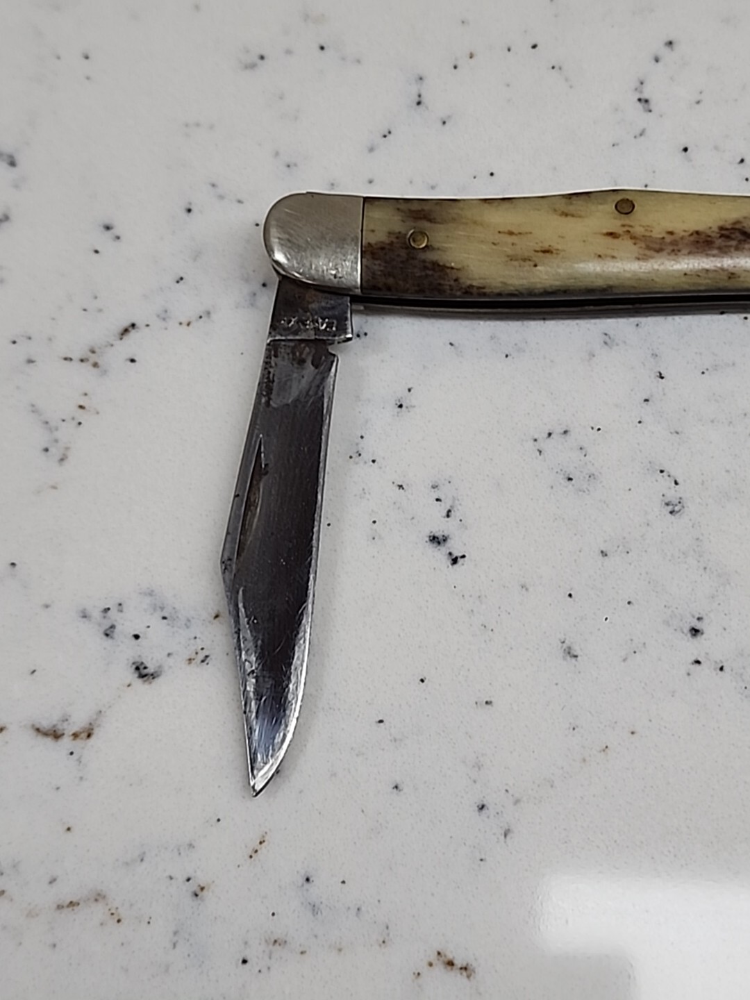 Vintage Case XX A6208 Half Whittler Appaloosa Bone Pocket Knife eBay