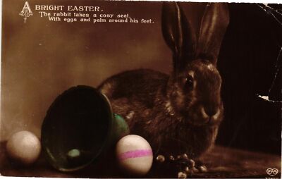 Vintage Postcard- Bright Easter. The rabbit takes a cosy seat, With eggs and pal