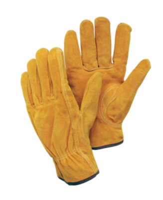 Radnor 64057327 Premium Split Cowhide Leather Drivers Gloves Medium (12 pk)