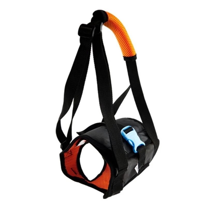 Dog Harness with Handle Set No Pull Adjustable Harness Rear Legs Stand Up