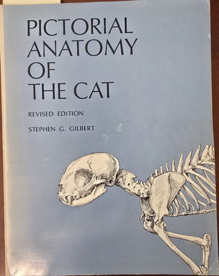 #ad Pictorial Anatomy of the Cat by Gilbert Great Pictures $17.83