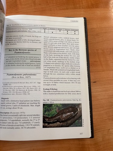 Amphibians and Reptiles of Mount Kinabalu, (North Borneo), Rare Book, OOP, NM - Picture 5 of 15