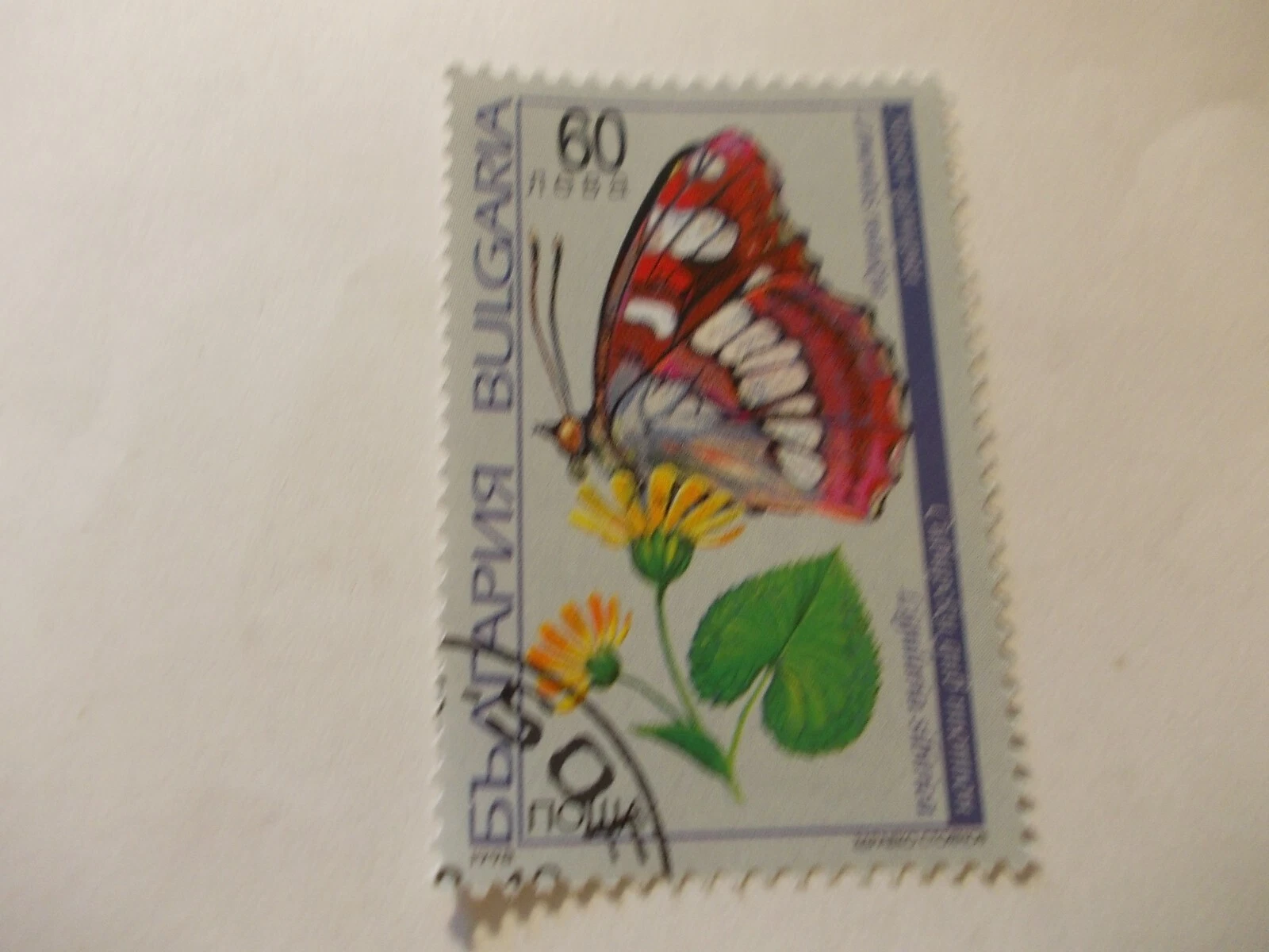 Photo 1/1