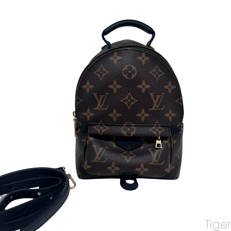 Louis Vuitton new mini Palm Springs   with a vintage canvas coating and chip