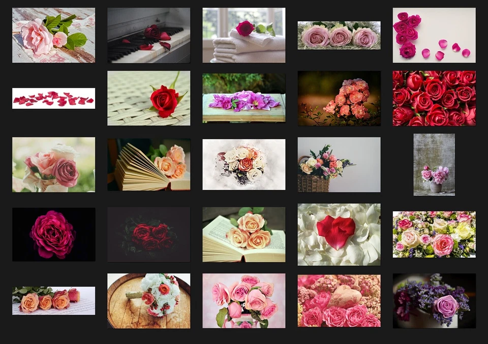 200 ROSES FLOWERS DIGITAL PHOTOSHOP OVERLAYS BACKDROPS BACKGROUNDS PHOTOGRAPHY - Image 4 of 4