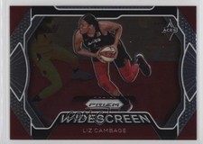 2020 Panini Prizm WNBA Widescreen Liz Cambage #3 6e9