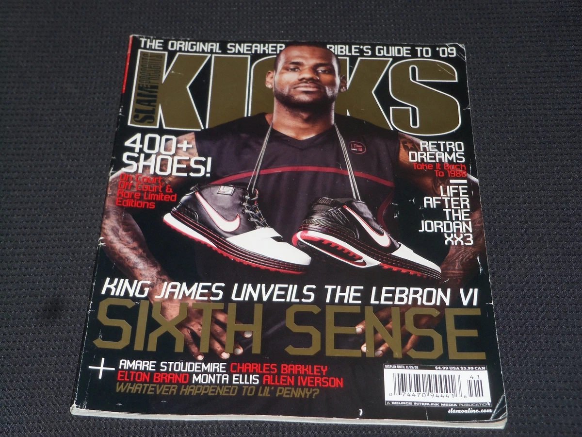 Lebron james shop kicks