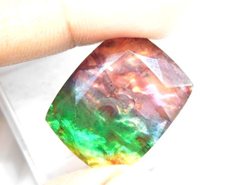 28CT Rare Ammolite Opal-Like Organic Doublet Rare loose Gemstone