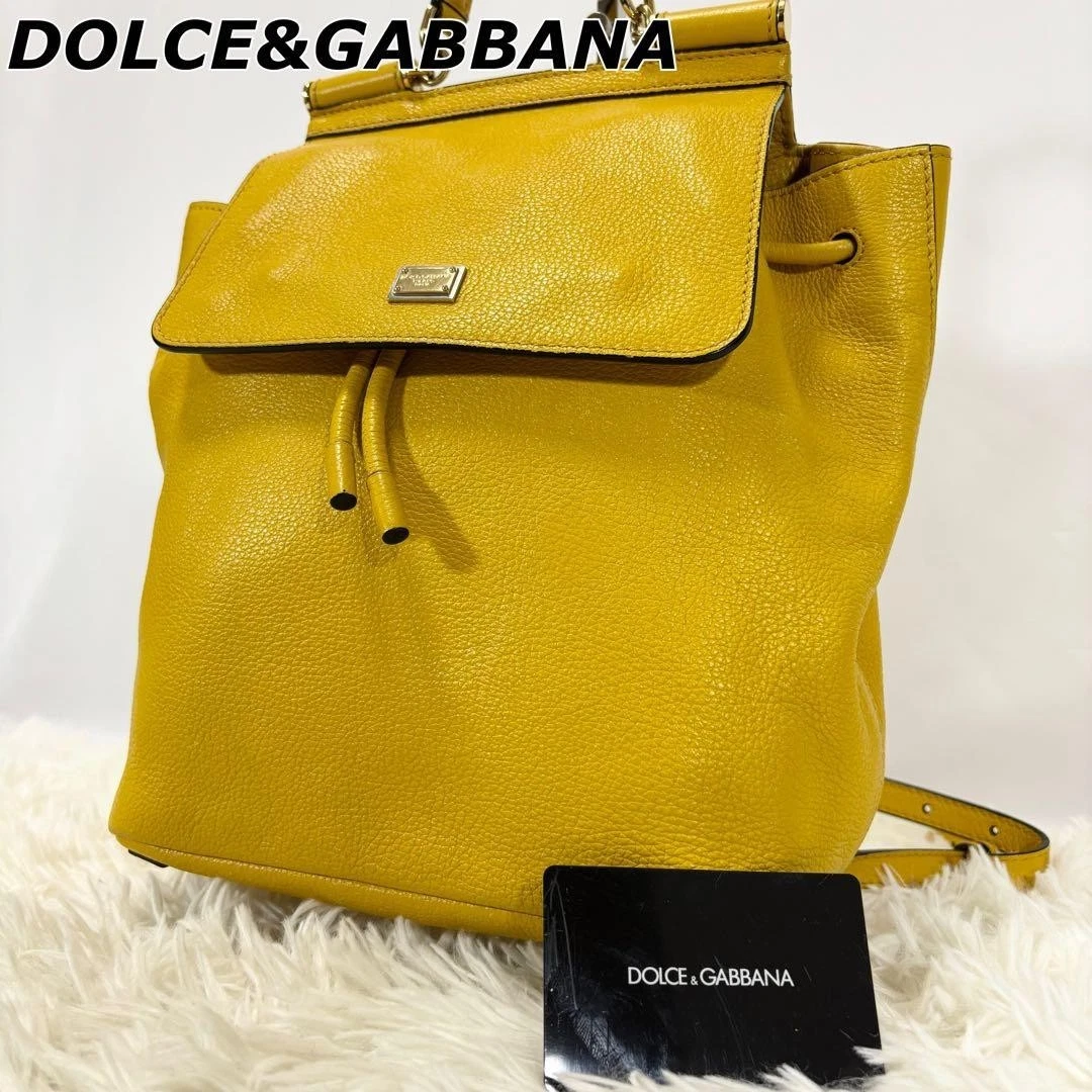 Dolce&Gabbana Leather Exterior Backpack Bags & Handbags for Women