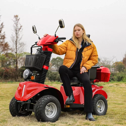 1000W 60V Four Wheels Fat Tire All Terrains Electric Mobility Scooter for Senior - Picture 2 of 17