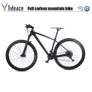 ebay 29er
