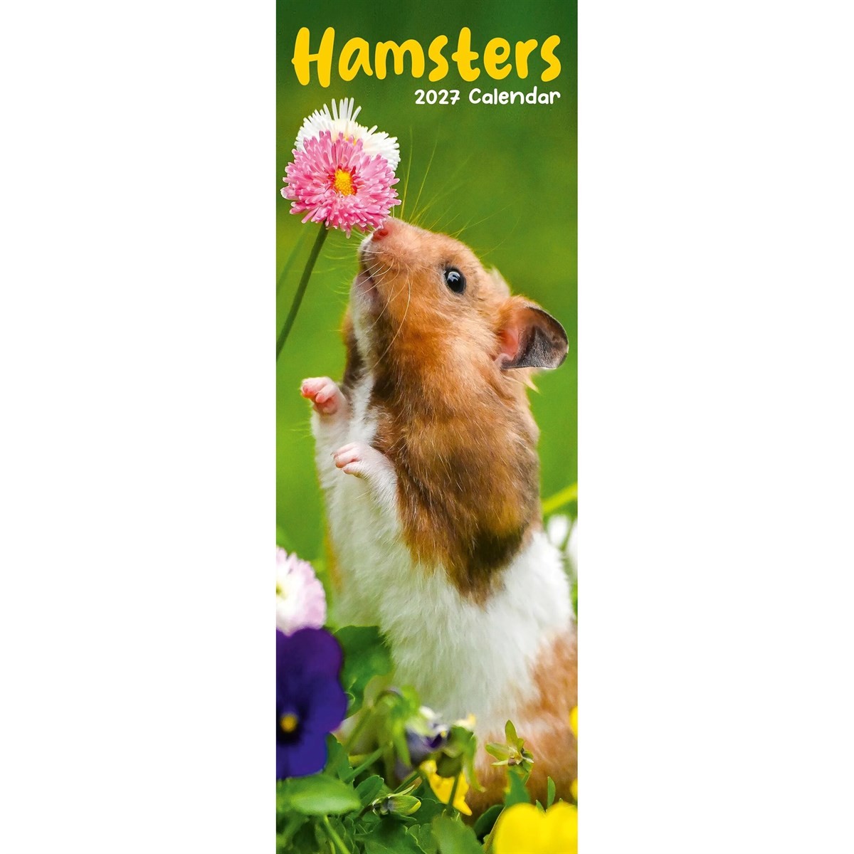Hamsters Slim 2027 Calendar | Slimline Wall Calendar | Animal Gift | Plastic Free Packaging | by Avonside Publishing - Image 4