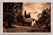 Antique France Postcard GRASSE Oliviers et Cypres Cote dAzur 1940s