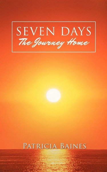 Seven Days The Journey Home Patricia Baines Taschenbuch Kartoniert / Broschiert-image