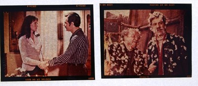 D352 2x Dias / Movie Slides + Werberatschlag BROT UND SCHOKOLADE Anna Karina, Ni