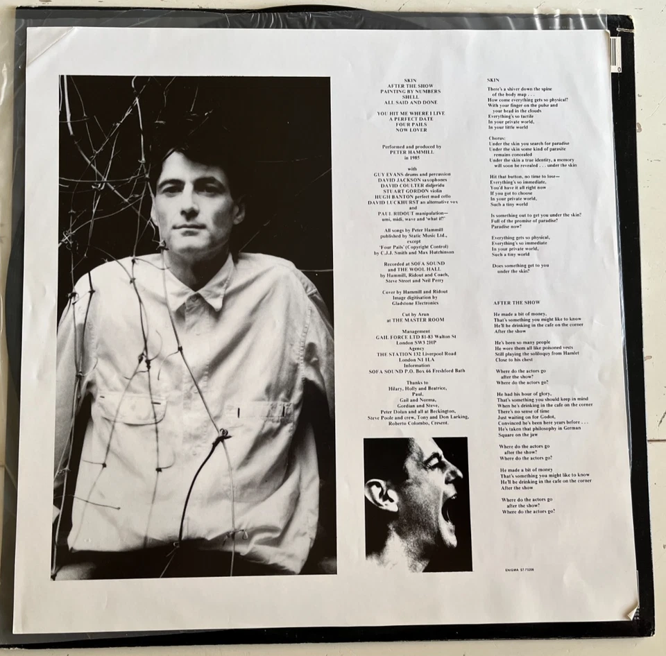 PETER HAMMILL SKIN LP EXCELLENT CONDITION VAN DER GRAAF GENERATOR - Image 3 of 4