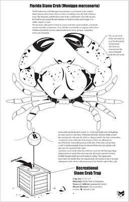 Poster Of Stone Crab Made By Artist B. Chodubski B&W Children To Color And Learn