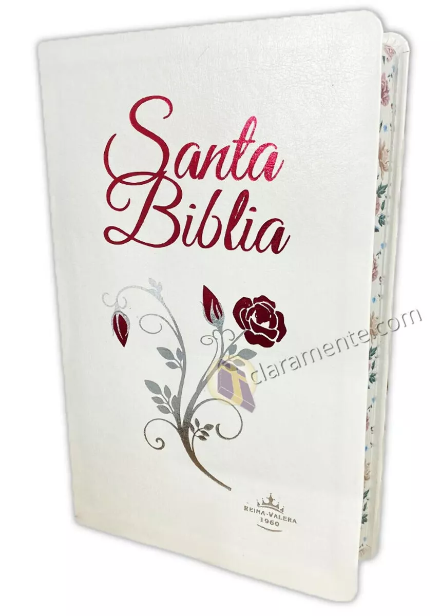 Reina discount valera biblias