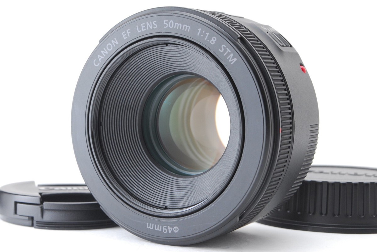 TOP MINT] Canon EF 50mm f/1.8 STM AF Lens for EF Mount From JAPAN
