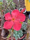Foto 1 di 5