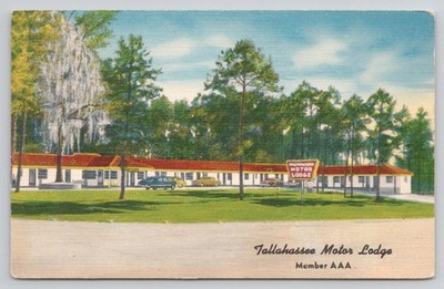 Tallahassee FL Tallahassee Motor Lodge Street View Postcard