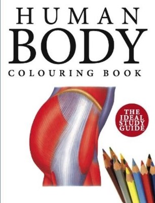 Peter Abrahams Human Body Colouring Book (Taschenbuch) Colouring