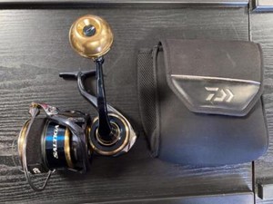 Daiwa Saltiga 20000 | eBay