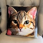 Tabby Cat Throw Pillow Couch Pillow Decorative 18 X 18 Pillow and Case Included