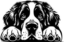 BERNHARDINER Aufkleber - Bernhardiner Autoaufkleber - sticker - Kopf #34