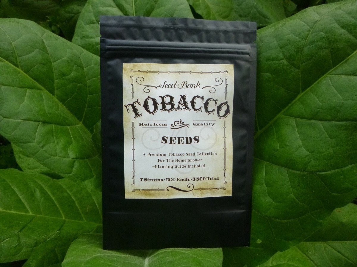 where can you buy tobacco seeds Survival Tobacco Seed Bank - 7 Top Varieties - Mylar Sealed - 7,000 Seeds