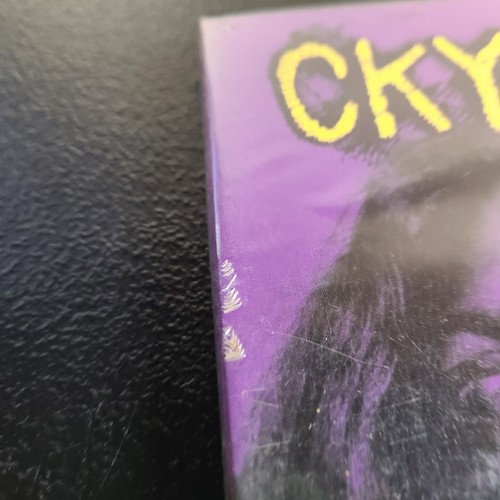 CKY 2K DVD 2000 Skateboarding Bam Margera Ryan Dunn Brandon DiCamillo Rake Yohn - Picture 3 of 10
