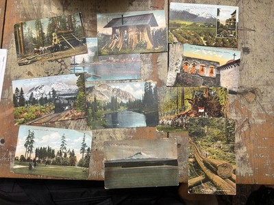 Vintage 1900s Lot Of 11 West Coast Post Cards Washington State