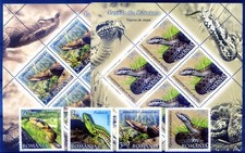 Fauna. Reptiles 2011.