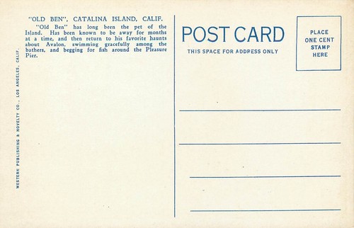 Postal Antiguo Ben Sello Grande Isla Catalina Sin Publicar Borde Blanco - Imagen 2 de 2