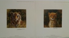 Tiger / Cheetah Cubs David Shepherd Limited Edition Miniature Collection