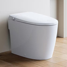 Non-Electric Elongated Bidet Toilet 1.0 GPF in White with ADA Chair Height, Foot