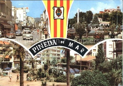 Pineda de Mar Strassenpartie Park Palmen Wasserspiele
