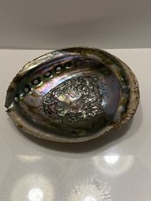 coque ormeau 5x6 pouces