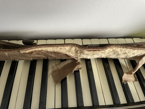 Vintage Italian Varsity Soprani Accordion - Picture 9 of 14