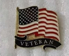 USA VETERAN FLAG LAPEL PIN HAPPY VETERANS DAY