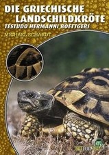Die Griechische Landschildkröte von Schardt, Michael | Buch | Zustand sehr gut