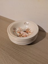 Poole Summer Glory Bowls 6 Inch Set of 6 